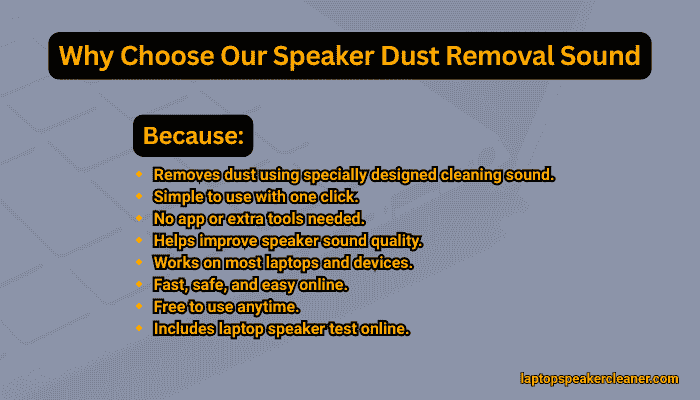 why-choose-speaker-dust-removal-sound
